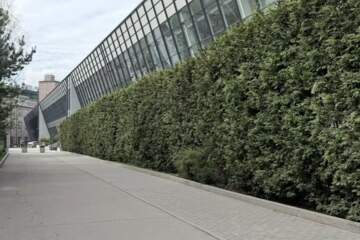 Офис, 40,5 м², 1/9 эт.
