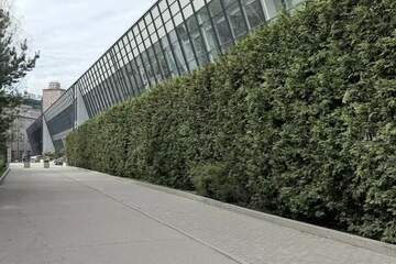 Офис, 231 м², 5/9 эт.